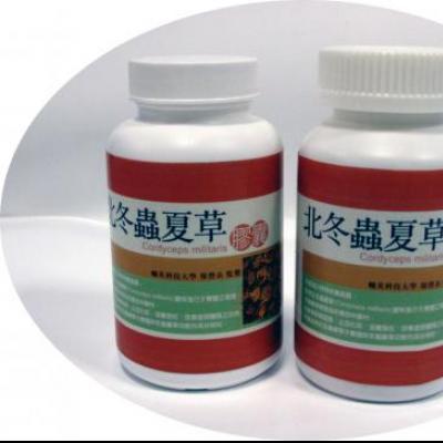 北冬蟲夏草(蛹蟲草)膠囊圖片
