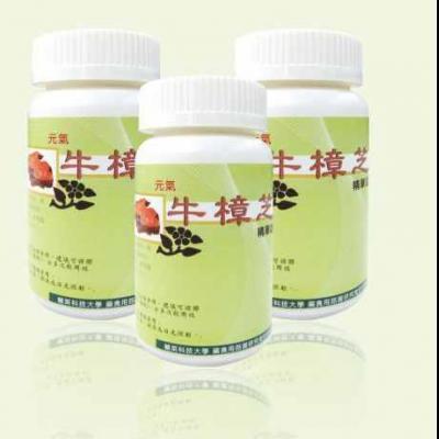 元氣牛樟芝精華錠圖片